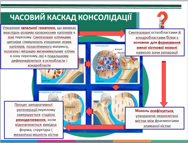 Часовий каскад консолідації